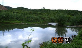 描写农家风光的优美句子 描写农家风光的优美句子有哪些