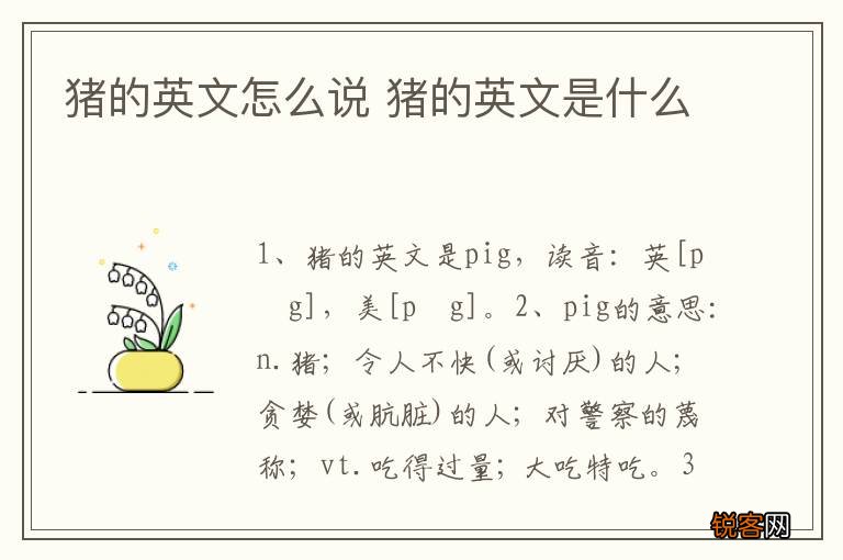 猪的英文怎么说 猪的英文是什么