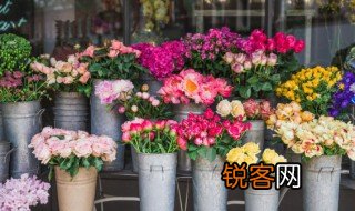 成语奇葩异卉是什么意思 成语奇葩异卉的意思