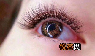 七个实用美睫小技巧视频 七个实用美睫小技巧
