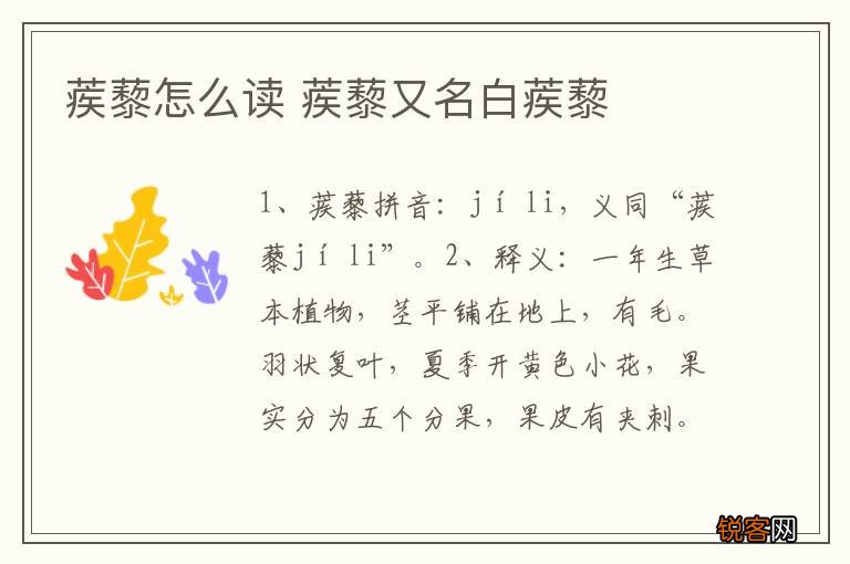 蒺藜怎么读 蒺藜又名白蒺藜
