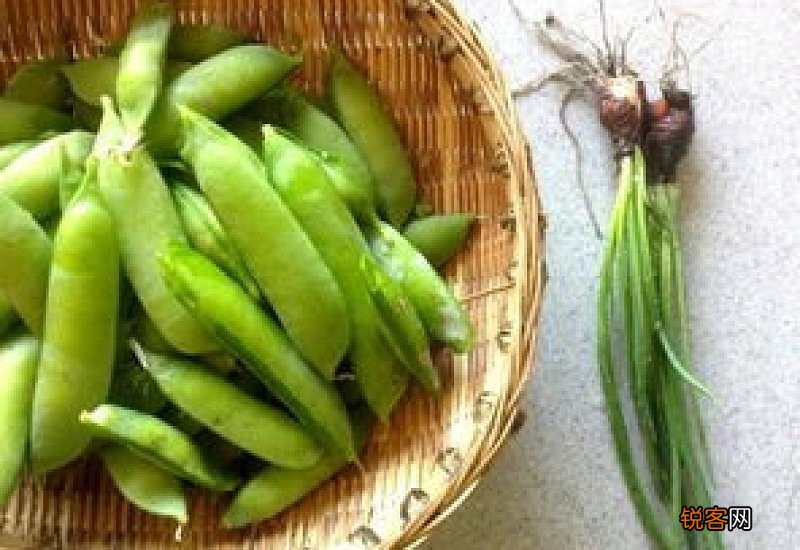 麦豆放在冰箱发芽了可以吃吗