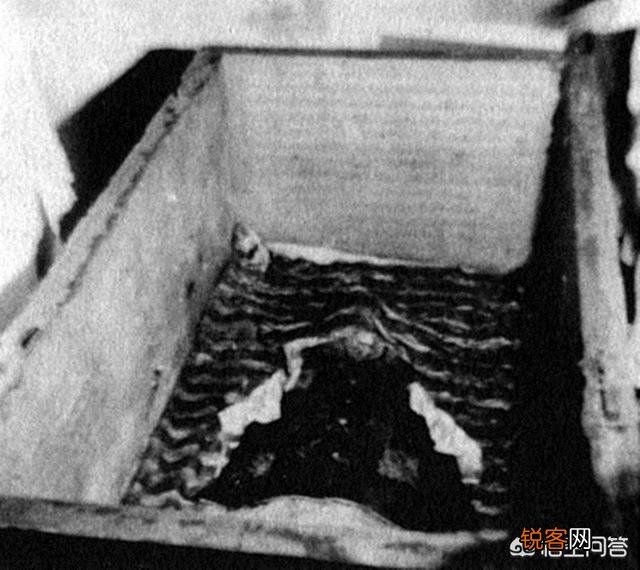 慈禧太后的墓被打开过几次？有何依据？