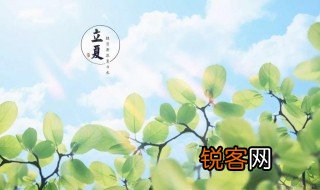 关于立夏的古诗 关于立夏的古诗及解释
