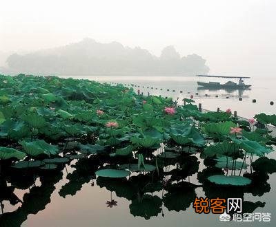 “食在广州,穿在苏州,玩在杭州,死在柳州”的说法是从何而来？