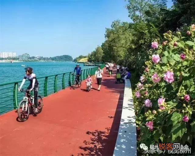 “食在广州,穿在苏州,玩在杭州,死在柳州”的说法是从何而来？