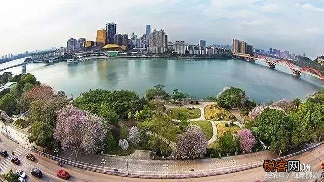 “食在广州,穿在苏州,玩在杭州,死在柳州”的说法是从何而来？