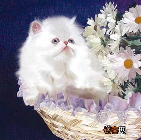 “食在广州,穿在苏州,玩在杭州,死在柳州”的说法是从何而来？