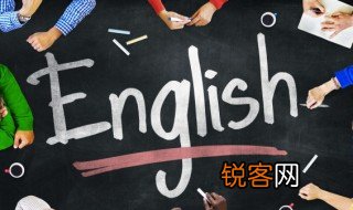 奶牛用英语怎么说 奶牛用英语如何说