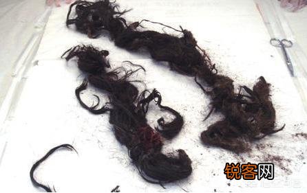 1980年考古队打开光绪陵墓,为什么先是作呕,后是沸腾呢？