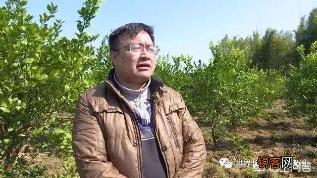 广西有哪些未解之谜？