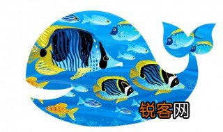 鲸谷座是什么星座 鲸谷座是什么