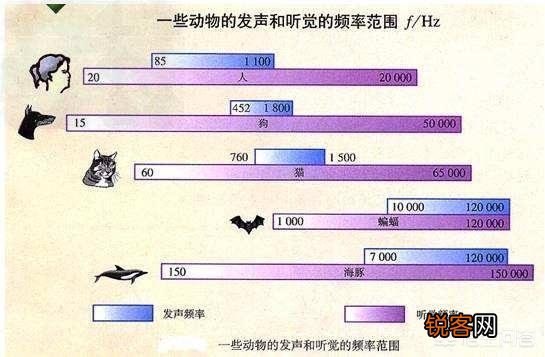 日本海岸出现大量载有尸体的幽灵船,这是怎么回事？