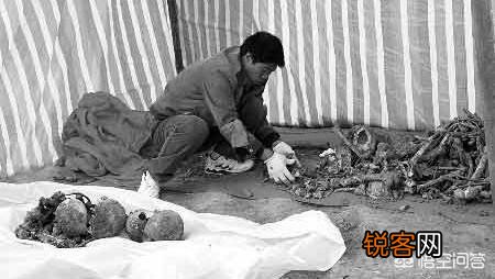 清东陵里乾隆慈禧的尸骨还存在吗？