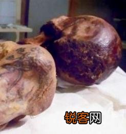 据说考古学界发现有十大女尸,你如何看待这件事？