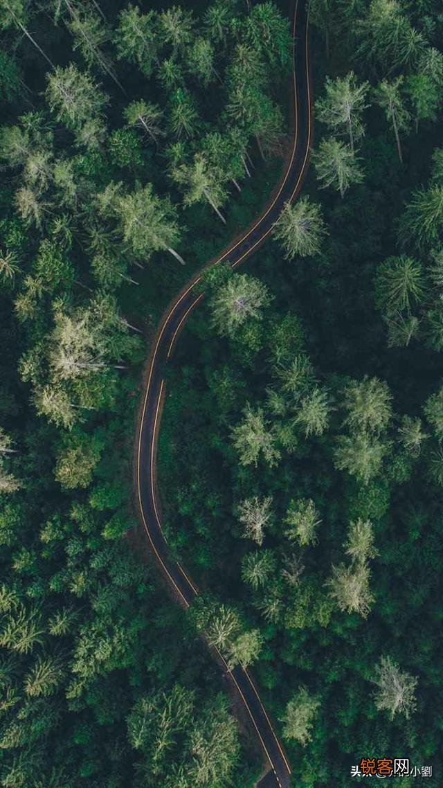 同程艺龙购机票疑因“格式合同”让段女士损失近万元,这件事儿您怎么看？