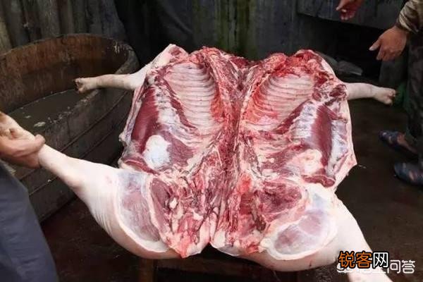 人死后为什么很快发臭,而猪肉羊肉不会那么快？
