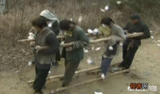 从理论上来说中国僵尸有可能存在吗？