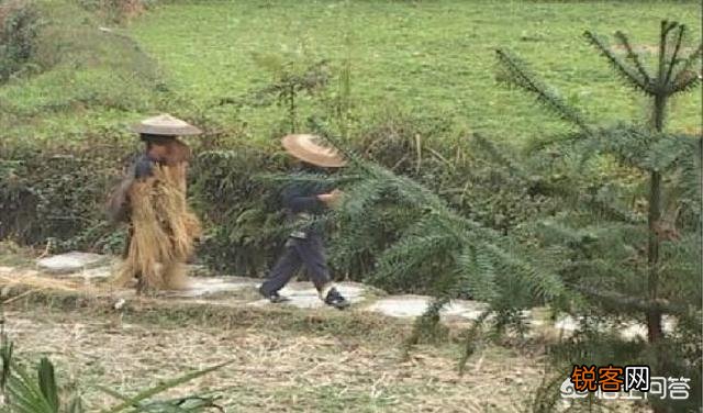 从理论上来说中国僵尸有可能存在吗？