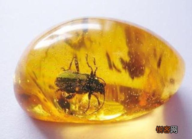 琥珀里的昆虫万年不腐,古人为何不用琥珀来给尸体做防腐？
