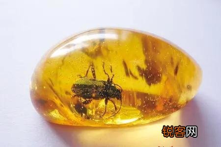 琥珀里的昆虫万年不腐,古人为何不用琥珀来给尸体做防腐？