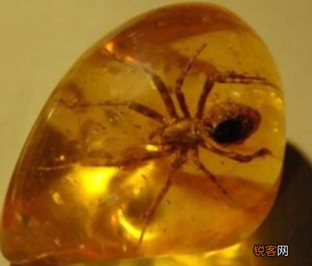 琥珀里的昆虫万年不腐,古人为何不用琥珀来给尸体做防腐？