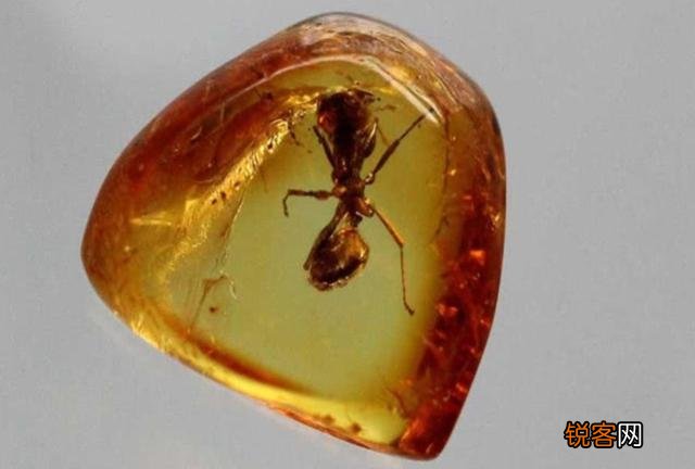 琥珀里的昆虫万年不腐,古人为何不用琥珀来给尸体做防腐？