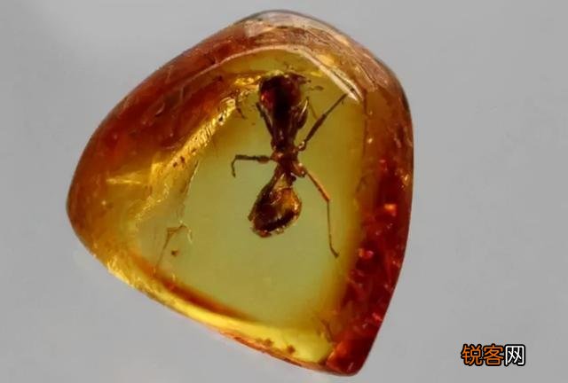 琥珀里的昆虫万年不腐,古人为何不用琥珀来给尸体做防腐？