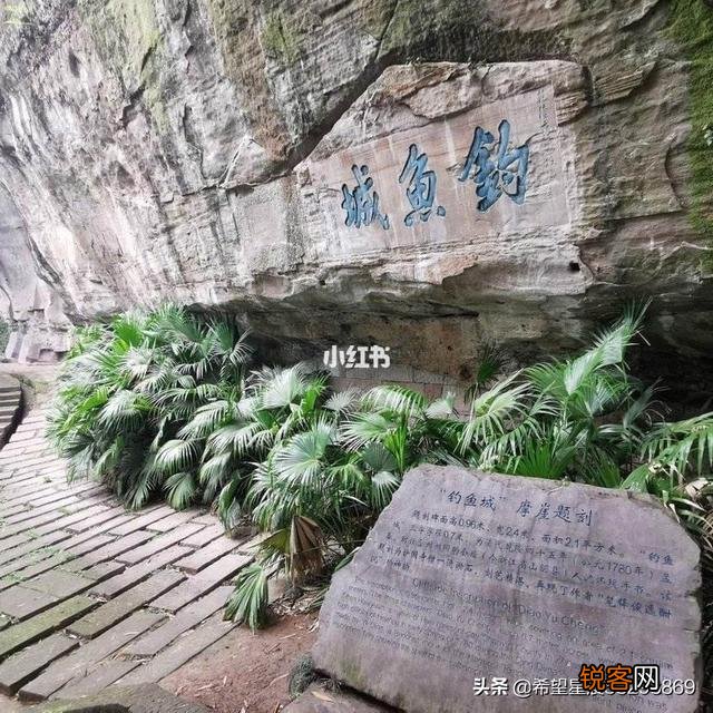 当年蒙古军队为什么非要打下钓鱼城呢？