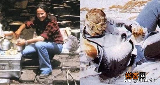 珠穆朗玛峰上温度很低,人死了也不会腐烂,在上面能看到中国古代的人吗？