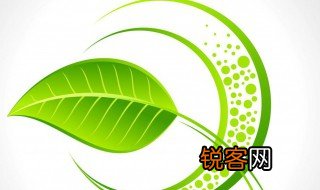 绿色代表什么象征意义 绿色代表什么象征意义是什么