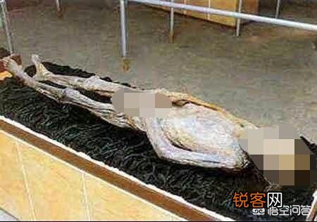 人死后身体里的血液都到哪里去了？
