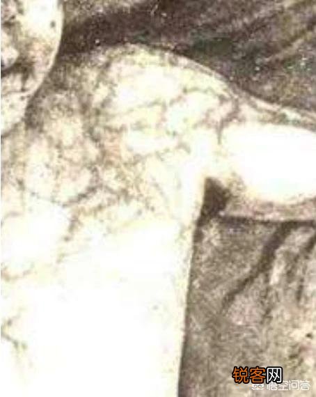 人死后身体里的血液都到哪里去了？
