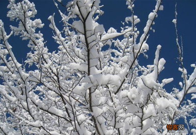 2021年会有雪灾吗
