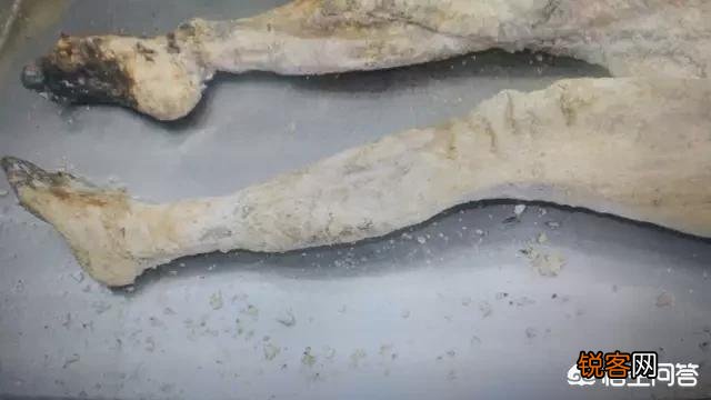 人死之后,多长时间会变成白骨？