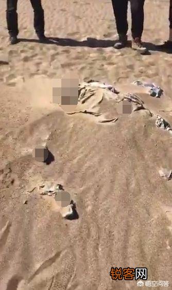 人死之后,多长时间会变成白骨？