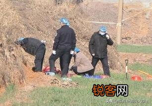 人死之后,多长时间会变成白骨？