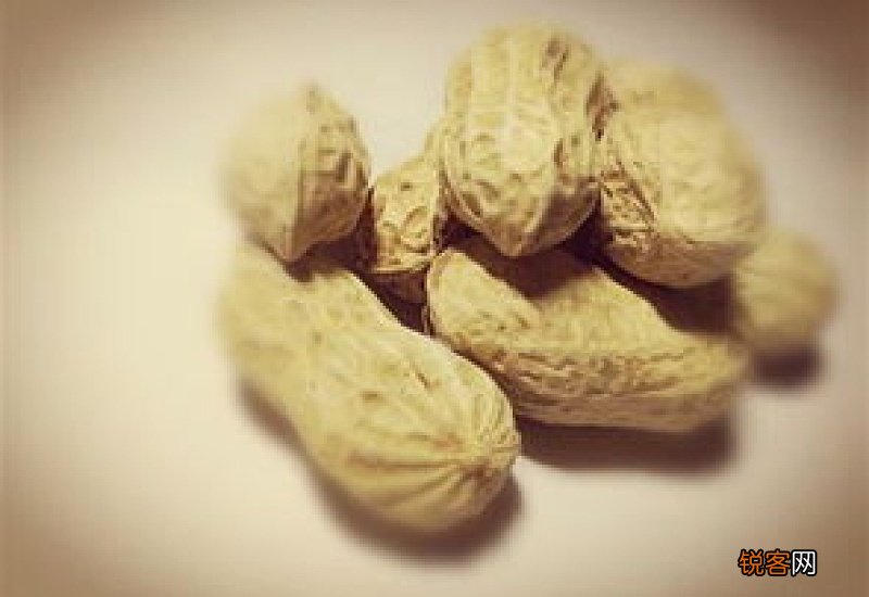 黑花生的功效与作用及禁忌