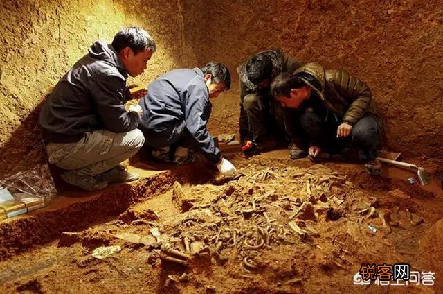 考古发掘后, 被发掘的古尸是怎么安置的？