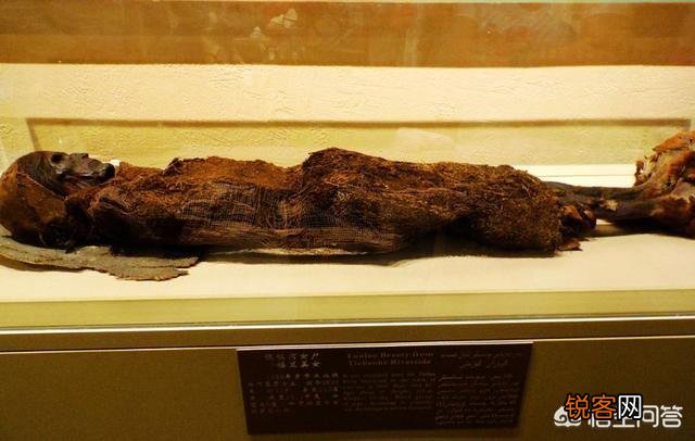 考古发掘后, 被发掘的古尸是怎么安置的？