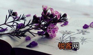 醒觉是什么意思 醒觉解释
