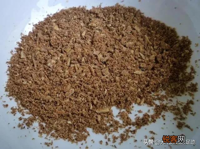 尸骨多少年腐烂？