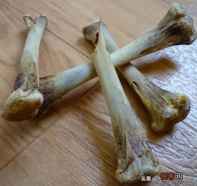 尸骨多少年腐烂?