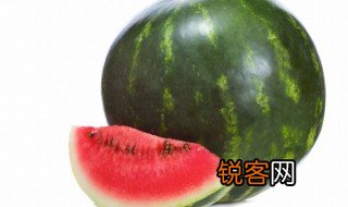 西瓜英语怎么说 西瓜的英语单词