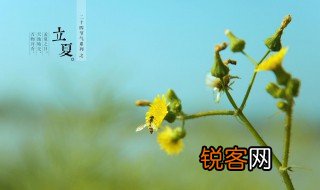 关于立夏节气唯美文 有哪些关于立夏节气的唯美文