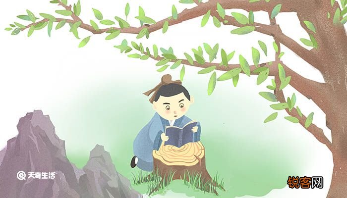 能以径寸之木的之是什么意思 能以径寸之木的之意思