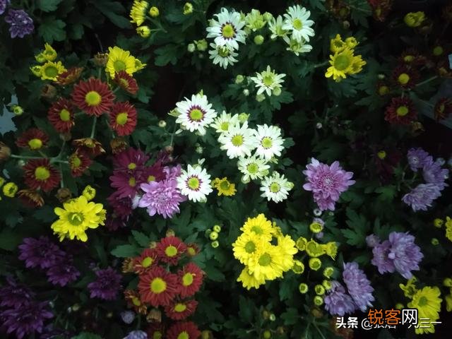 记忆中哪些电影电视剧给你留下过童年阴影？