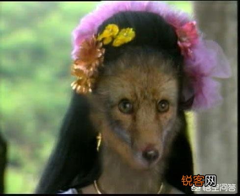 记忆中哪些电影电视剧给你留下过童年阴影？