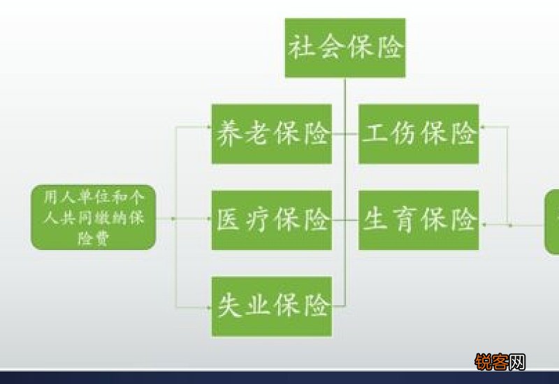 2022年武汉养老金领取多少钱一个月 武汉养老保险缴费比例是多少