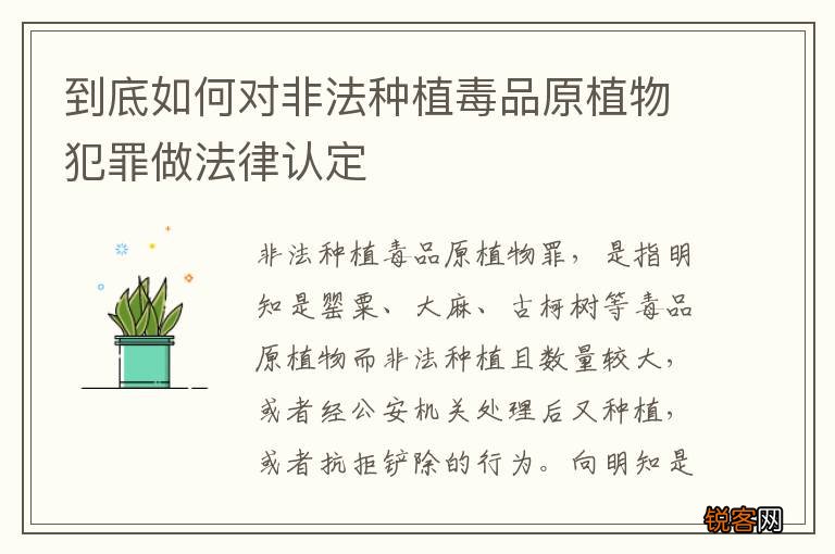 到底如何对非法种植毒品原植物犯罪做法律认定